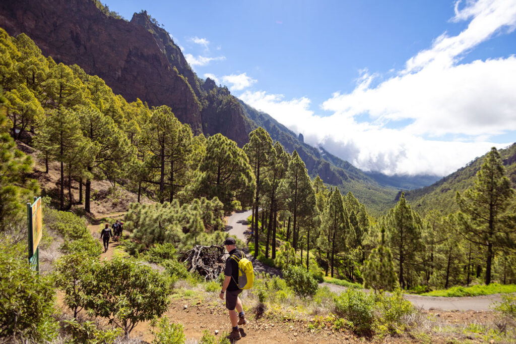 El clima en La Palma